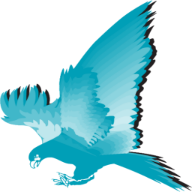 Hawk Logo